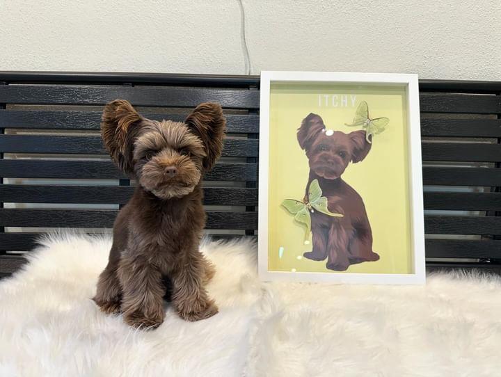 Personalisierte Tierportraits mit Schmetterlingen (gross)