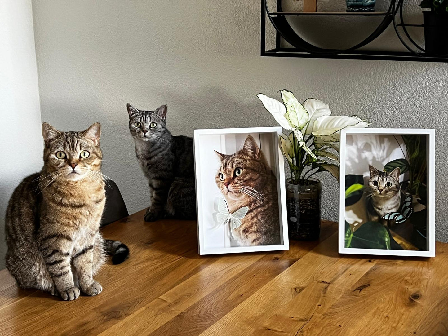 Personalisierte Tierportraits mit Schmetterlingen (gross)